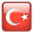 Turkish web page