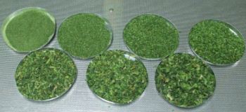 general  spinach powder